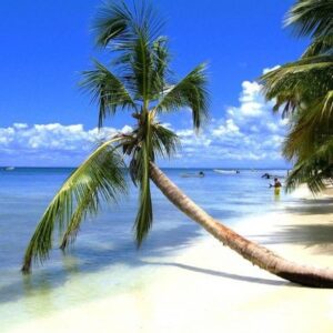 Детальніше про статтю Найкращі пляжі Домінікани.